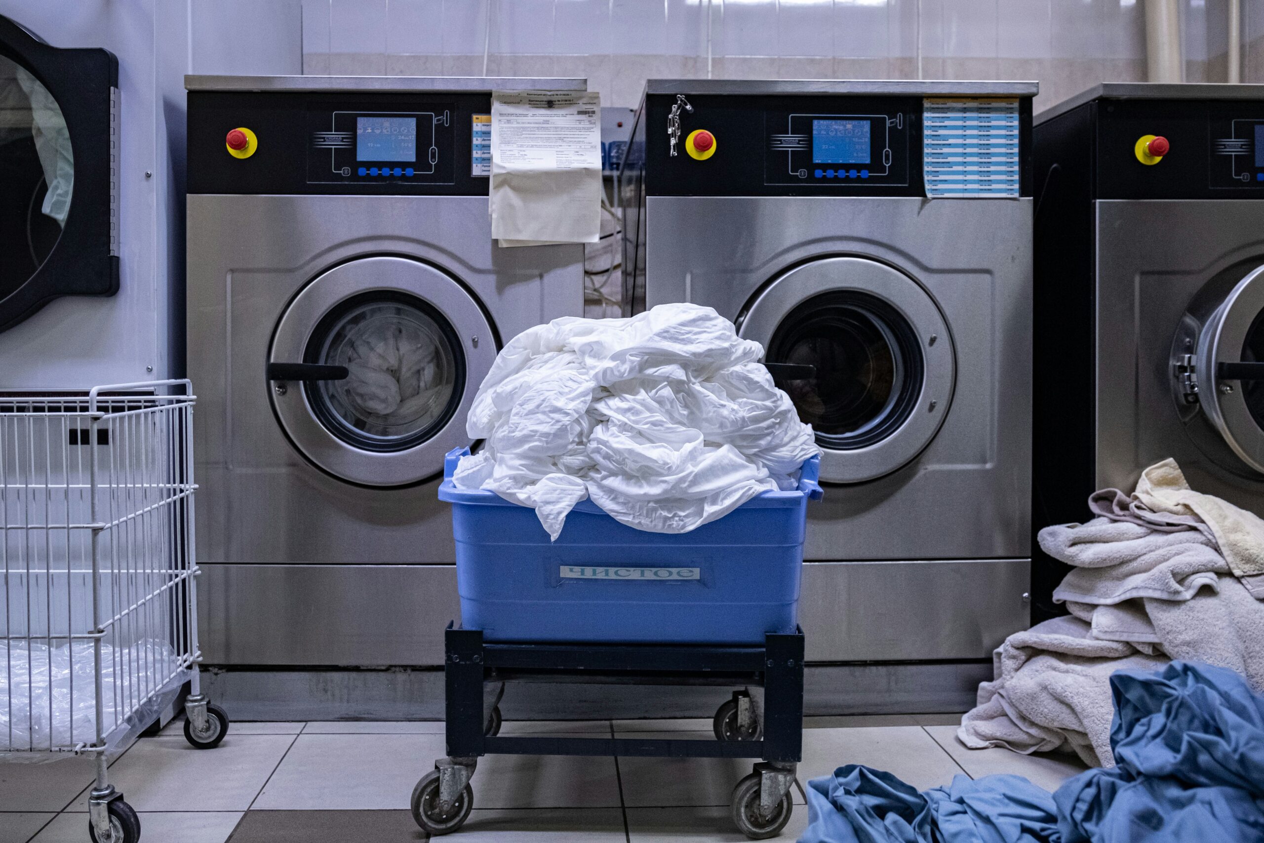 How to Get Mold Out of Clothes featuring mold stain removal, odor elimination, fabric care, safe cleaning methods, and clothing restoration.